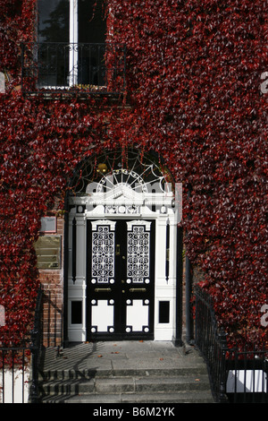 Georgian porta a Dublino, circondato da Virginia superriduttore, diventò rosso per l'autunno (fotografato in ottobre 2008). Foto Stock