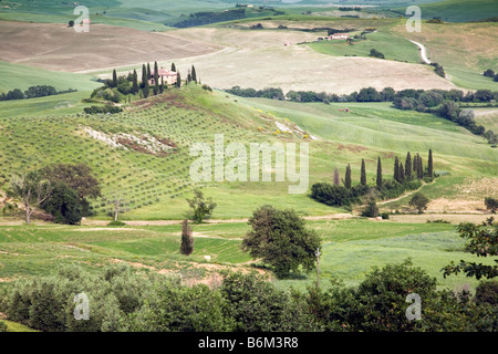 Il Belvedere agriturismo Val d Orcia Toscana Foto Stock