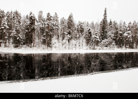 Boschi innevati e fiume Oulankajoki Oulankajoki nel Parco Nazionale, Kuusamo, Finlandia Foto Stock