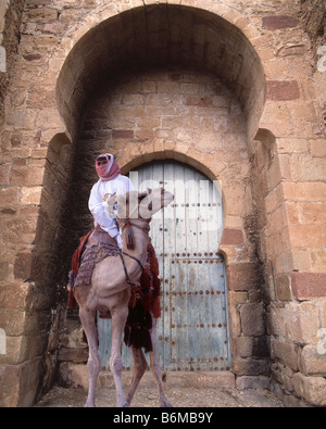 Bedouin sul cammello di fronte arco moresco Foto Stock