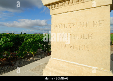 Pauillac Francia una croce con la scritta in latino Posuerent me custodem in vineis sorge in corrispondenza del bordo di un vigneto Foto Stock