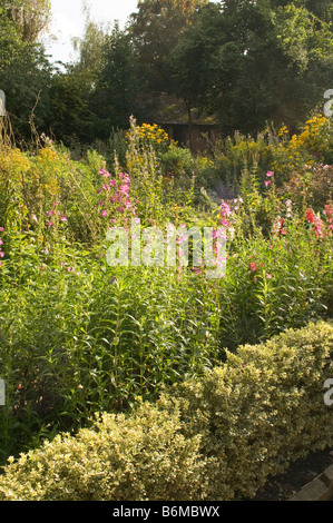 Giardino con fiori selvatici Foto Stock