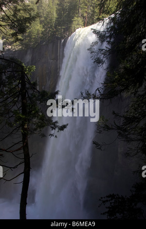 Primaverile cade il Parco Nazionale di Yosemite Yosemite Valley Foto Stock