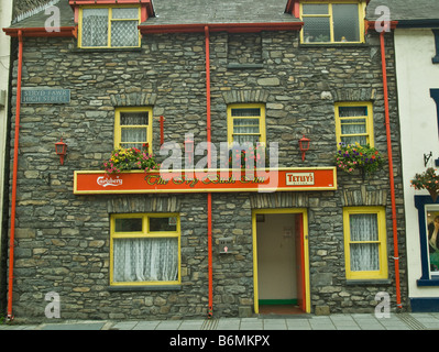 L'Ivy Bush Inn Public House a Lampeter Cardiganshire Foto Stock