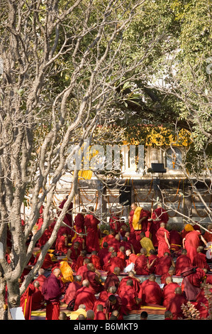 I monaci sotto un albero Bodhi Tree, tempio di Mahabodhi, Bodhgaya,, Gaya, Bihar, in India Foto Stock