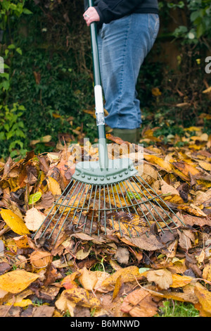 Giovane donna caduti a rastrellare foglie di autunno nel giardino sul retro Foto Stock