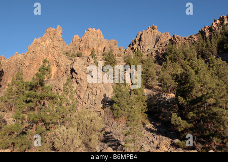 Parte delle rocce frastagliate che formano il bordo del cratere di Las Canadas del Teide Tenerife nelle Isole Canarie Spagna Foto Stock