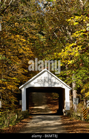 La Zacke Cox ponte coperto in Parke County Indiana Foto Stock