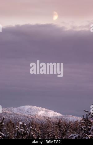 Colline al chiaro di luna a Kuusamo, Finlandia Foto Stock