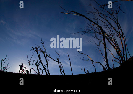 Trial Bike champion e freeride Mountain bike pioneer, Hans Rey, equitazione in Malibu, California Foto Stock