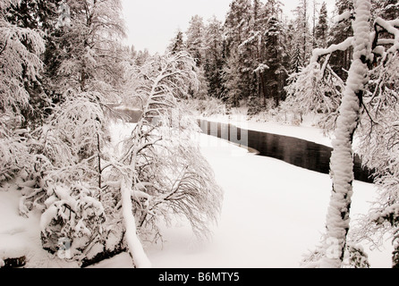 Wintery Oulankajoki nel fiume Oulankajoki National Park, Kuusamo, Finlandia Foto Stock