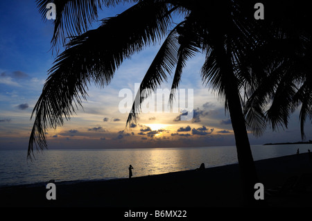 Coconut palm trees silhouette against tropical beach at sunset Foto Stock