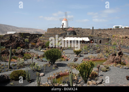 Jardin de Cactus, il Giardino dei Cactus vicino a Guatiza a Lanzarote. Progettato da artista Cesar Manrique . Foto Stock