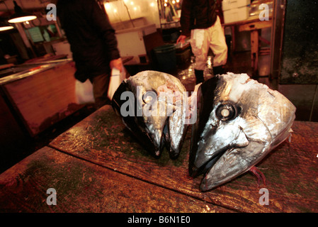 Teste di tonno il mercato del pesce di Tsukiji Tokyo Giappone Foto Stock