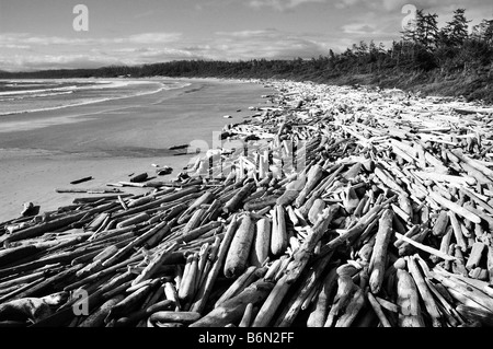 Lavate dei registri sulla lunga spiaggia, Pacific Rim National Park, l'isola di Vancouver, British Columbia, in bianco e nero Foto Stock
