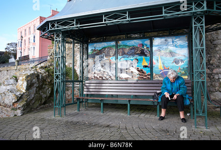 Old Lady sat lettura sul banco in Tenby, West Wales. Foto Stock