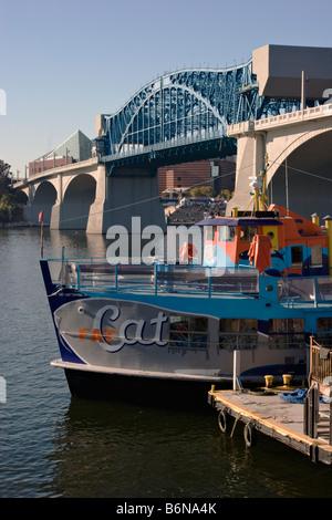 Fat Cat boat in Chattanooga TN Walnut Street Bridge è in background Foto Stock