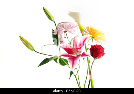 Dettaglio della molla di composizione floreale con fiori assortiti isolato Foto Stock