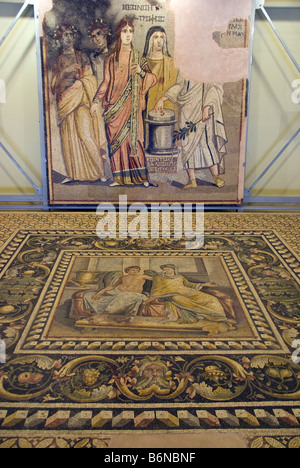 Il Museo di Gaziantep, città romana di Zeugma mosaici in entrata Foto Stock