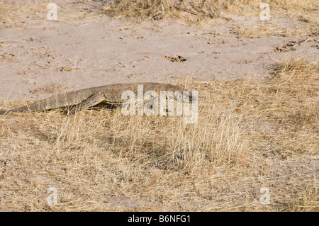 Mariental,Sud del Kalahari, Namibia, SW Africa Foto Stock