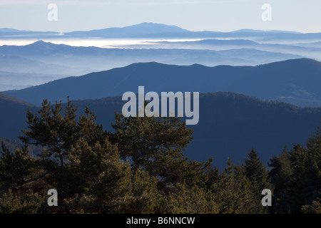 Strati di montagna con alberi in primo piano Foto Stock