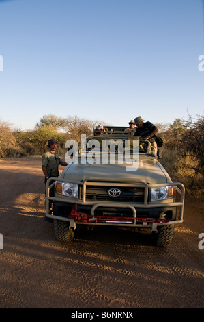 L'Okonjima, Wild Fondazione Africat, Namibia, SW Africa Foto Stock