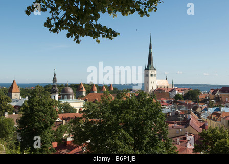 Vista panoramica dalla collina di Toompea Tallinn Estonia Foto Stock