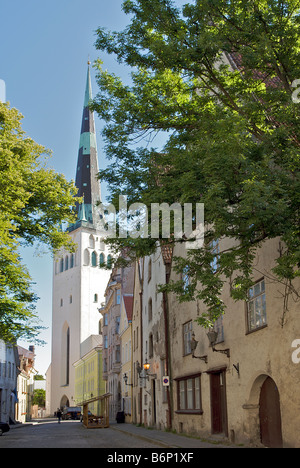 Tranquilla strada alberata nel vecchio quartiere con St dell'Olaf nella Chiesa Vecchia di sfondo Tallinn Estonia Foto Stock