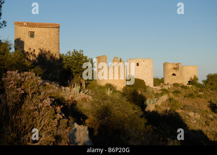 Fiori selvaggi e mulini a vento su La Plana, Javea / Xabia, Provincia di Alicante, Comunidad Valenciana, Spagna Foto Stock