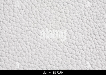 Bianco sullo sfondo di cuoio Foto Stock