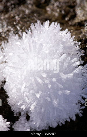 Chiudere l immagine di cristalli di ghiaccio formando in mazzi e gruppi Foto Stock