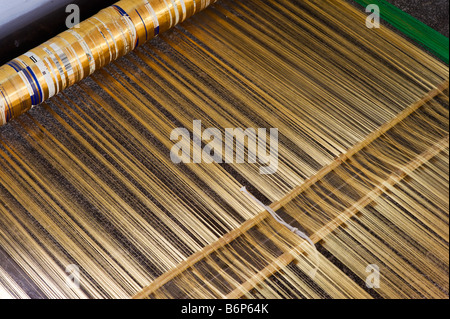 Oro seta sulla sari lato telaio in una zona rurale villaggio indiano. Andhra Pradesh, India Foto Stock