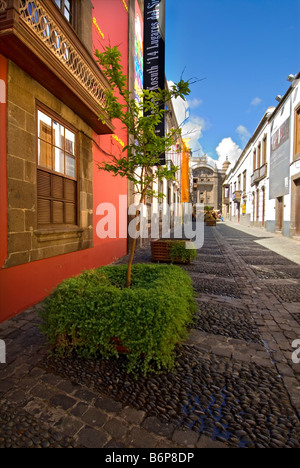 Tipica strada colorato in Vegueta città vecchia di Las Palmas, che conduce alla Cattedrale di Santa Ana, nel tardo pomeriggio di sole Gran Canaria Foto Stock