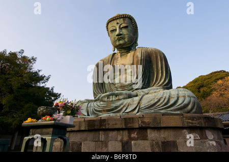 Un'offerta di frutti e fiori nella parte anteriore del bronzo gigantesca statua del Buddha a Kotoku-nel tempio di Kamakura, Giappone. Foto Stock