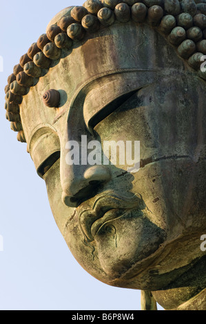 Close-up del bronzo gigantesca statua del Buddha chiamato Daibutsu a Kotoku-nel tempio di Kamakura, Kanagawa, Giappone. Foto Stock