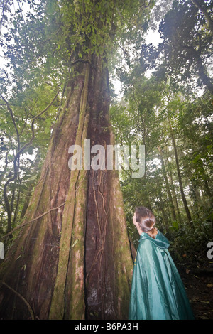 Visita donna ispeziona 100 piedi di altezza albero di caffè in Costa Rica foresta pluviale Foto Stock