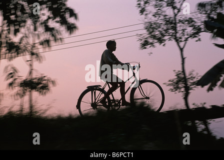 Vietnam, Delta del Mekong, bicicletta Foto Stock