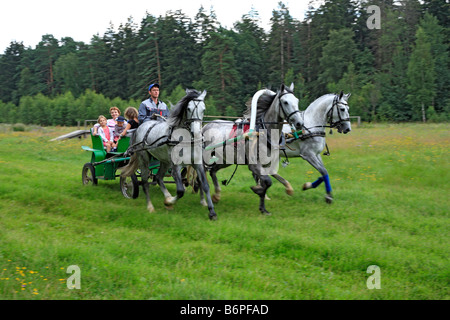 Troika, tradizionale russa team cavallo guida, Regione di Mosca, Russia Foto Stock