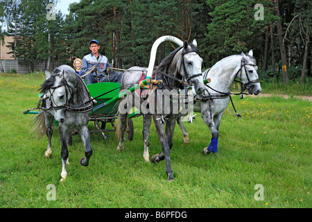 Troika, tradizionale russa team cavallo guida, Regione di Mosca, Russia Foto Stock