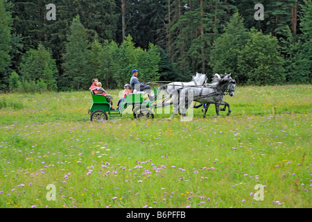 Troika, tradizionale russa team cavallo guida, Regione di Mosca, Russia Foto Stock