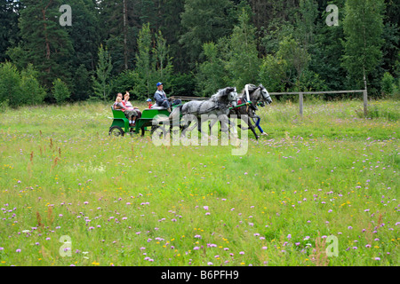 Troika, tradizionale russa team cavallo guida, Regione di Mosca, Russia Foto Stock