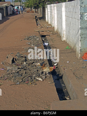 Acque reflue da scarichi aperto tra i vicoli di Bakau, in Gambia Africa Occidentale. Foto Stock