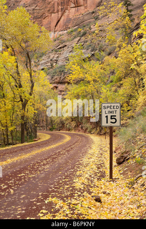 I colori autunnali lungo la Zion Canyon Scenic Drive con un 15 mph segnale di limite di velocità in Zion National Park nello Utah Foto Stock