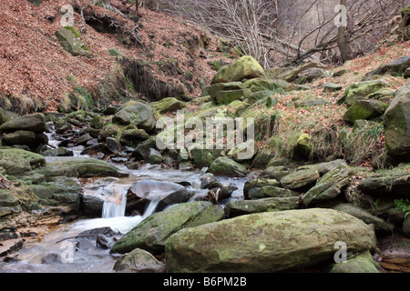 Piccolo ruscello tra Osmotherley e Tollerton Foto Stock