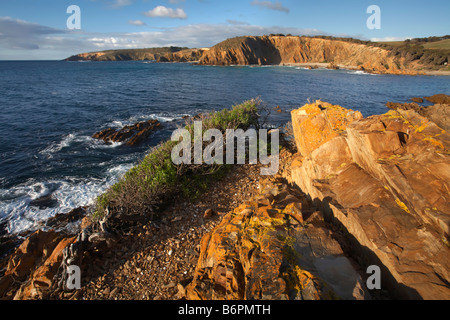 King George Beach Foto Stock