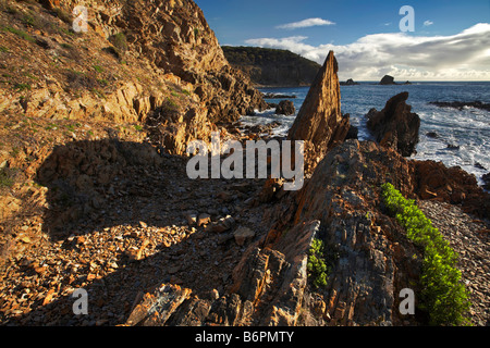 King George Beach Foto Stock