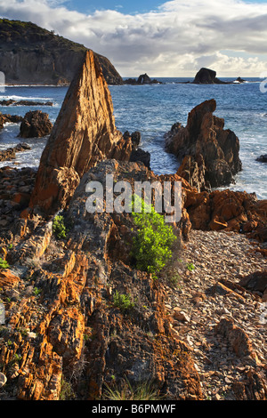 King George Beach Foto Stock