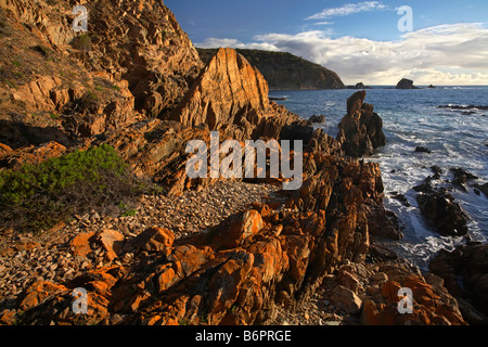 King George Beach Foto Stock