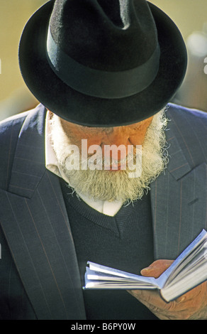 Ebreo la lettura della Torah al Muro Occidentale, Israele, Gerusalemme Foto Stock