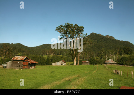 Vecchia fattoria australiana homestead in alto a Manning vicino Wingham Nuovo Galles del Sud Foto Stock